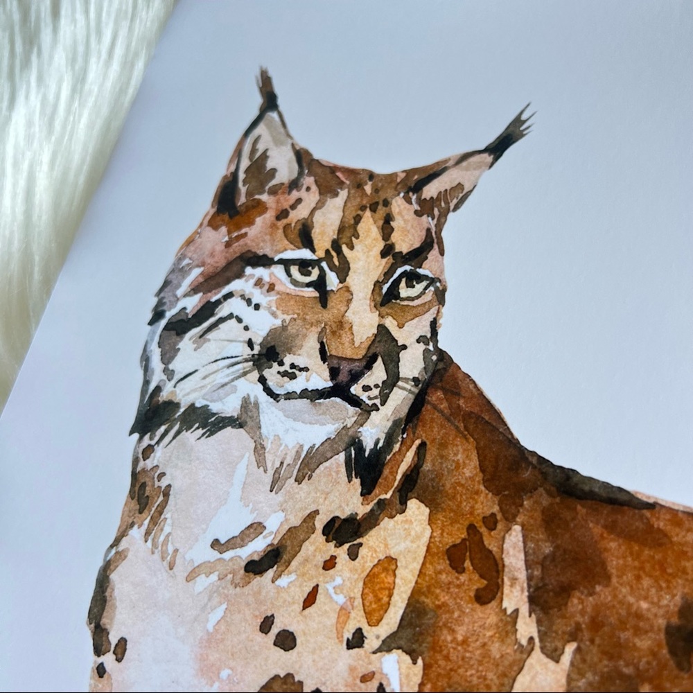 Wall Art Watercolor Lynx Bobcat Illustration Print Poster Unframed - Picture 17 of 17
